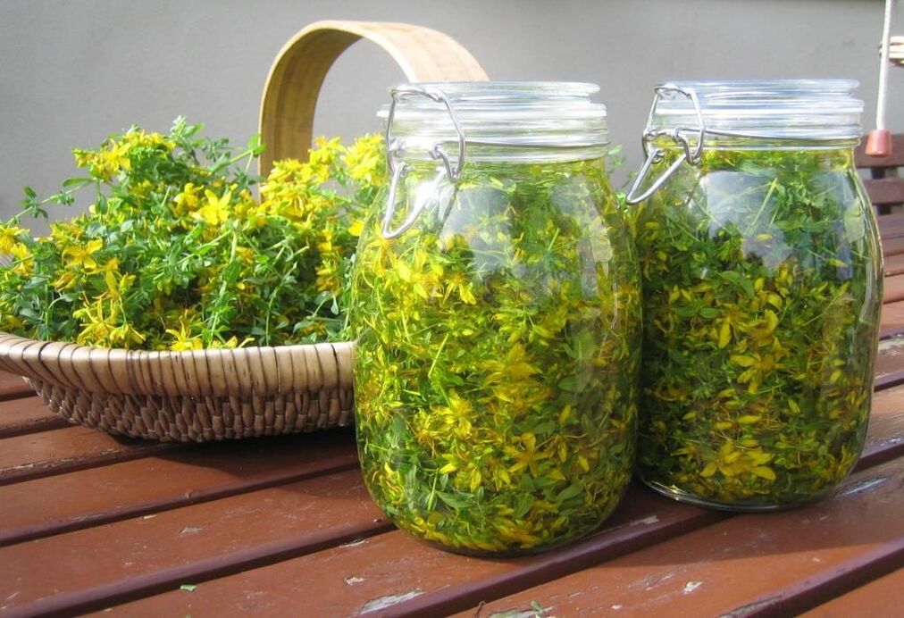 St. John's wort apple infusion for cervical osteochondrosis