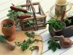 herbs for hip arthritis